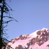 03 069 Glacier Peak in Her Pink Evening gown (158k)