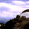 04 121 Ingalls South Peak and Mt Rainier (239k)
